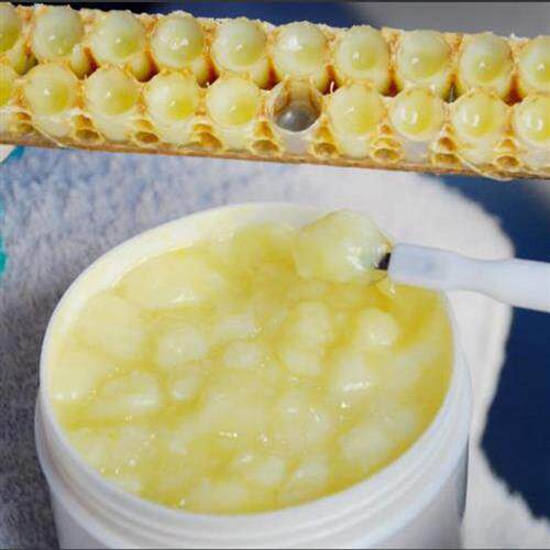 正宗老金汉兴安岭东北黑蜂椴树蜂王浆正宗新鲜天然纯蜂王浆