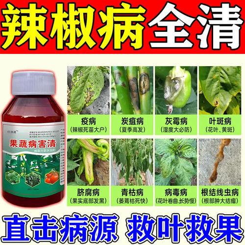 辣椒病毒病专用药辣椒卷叶黄叶肥料治炭疽叶斑特效灰霉病疫病清JY