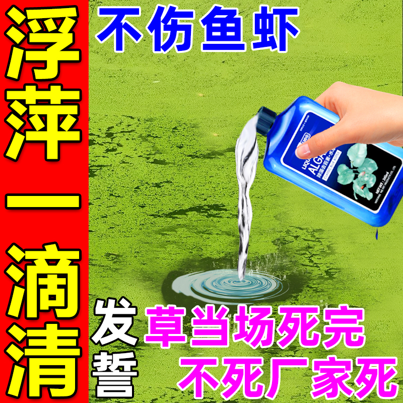 浮萍一扫光鱼池除藻去苔剂水产养殖除水草藻水花生净化水质清除剂