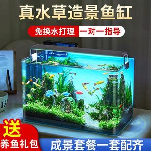 鱼缸水族箱客厅小型迷你桌面免换水生态造景小金鱼缸热弯超白玻璃
