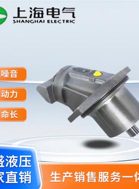 上海电气型液压柱塞泵A2F12/28/63/80/160 A2FO液压马达A2FM A2FE