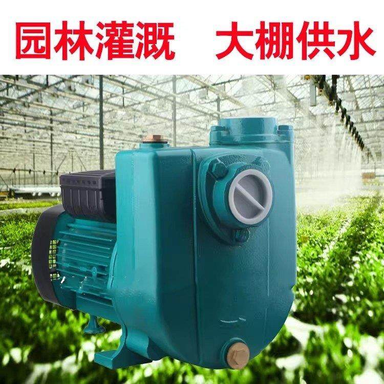 大流量自吸泵离心泵管道循环增压农用灌溉抽水机污水化粪池排污泵,五金/工具,水泵,淘宝优惠券,粉丝福利购,淘宝优惠卷