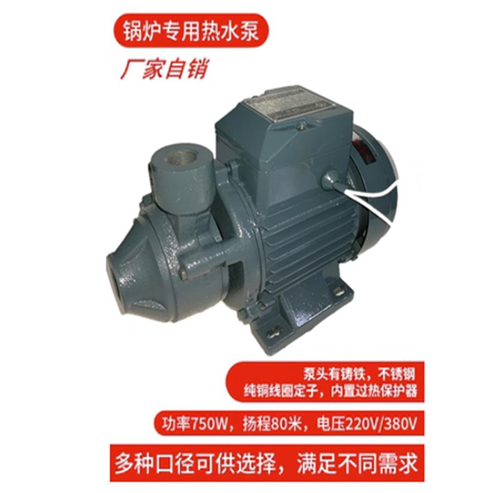 静音整体热锅炉蒸汽发生器配件热水循环高压旋涡水泵家用750Wdb80