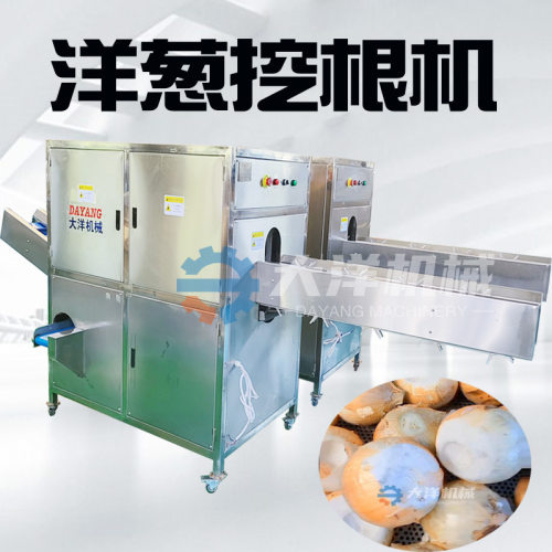 圆葱切头挖根一体机现货供应圆葱切根挖根设备连续洋葱深加工设备