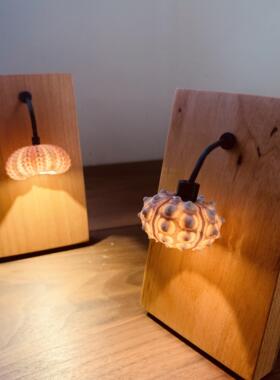 原装魔鬼果实木壁挂灯桌面创意礼品充电幻想海胆气氛夜灯装饰