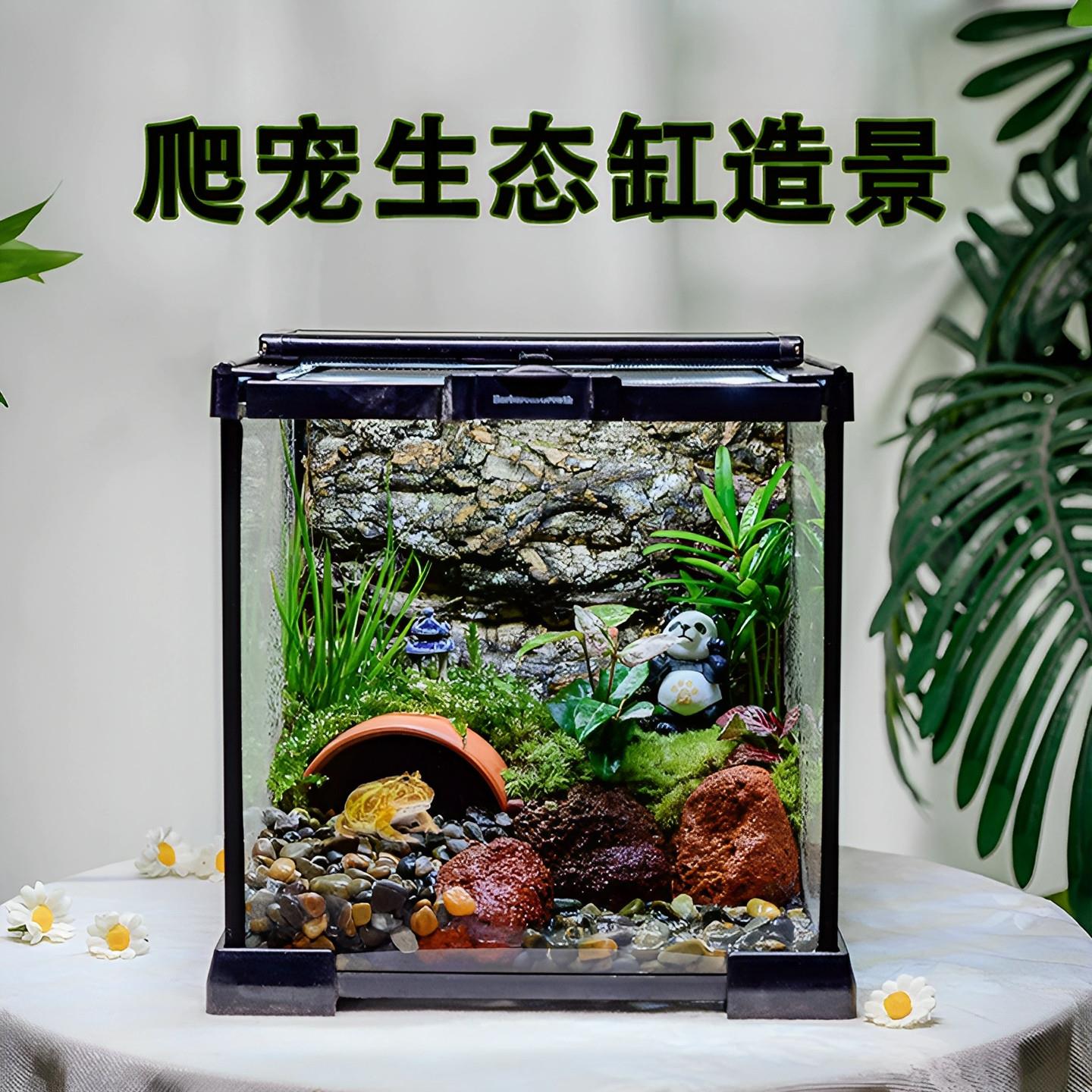 角蛙饲养箱生态缸造景全套养螃蟹专用缸桌面爬宠缸微景观成品摆件