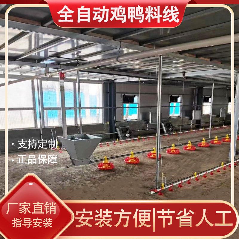 养鸡场全自动喂料机料线水线全套养殖设备平养鸡鸭棚饮水器鸡料线