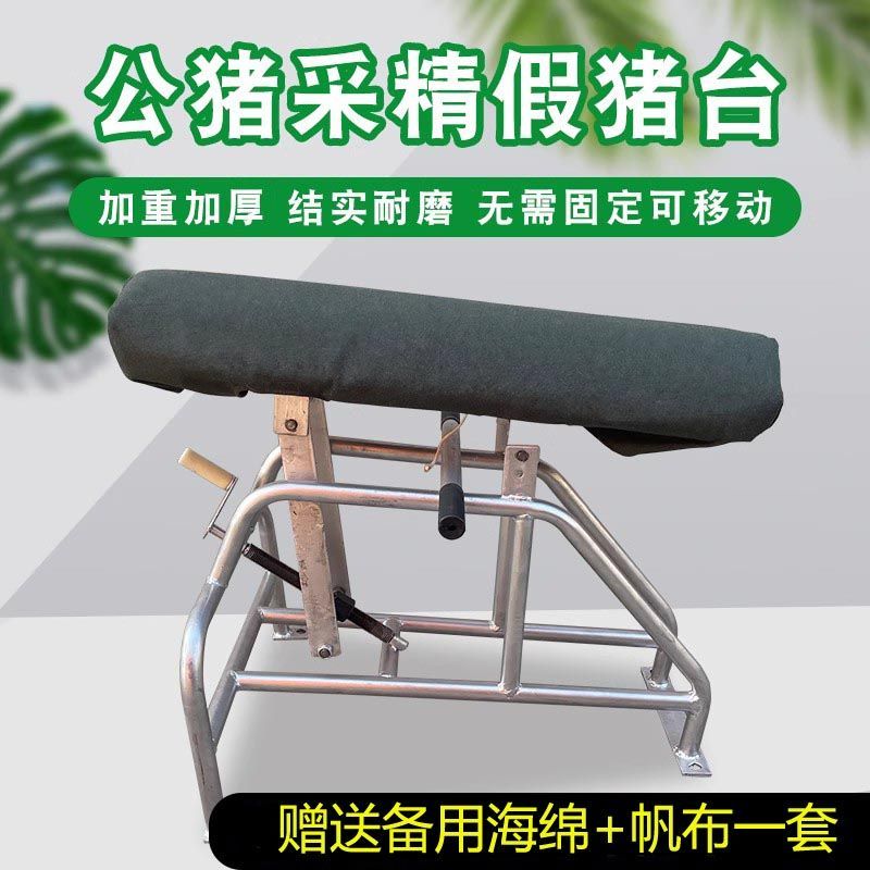 公猪加厚加重假母猪台帆