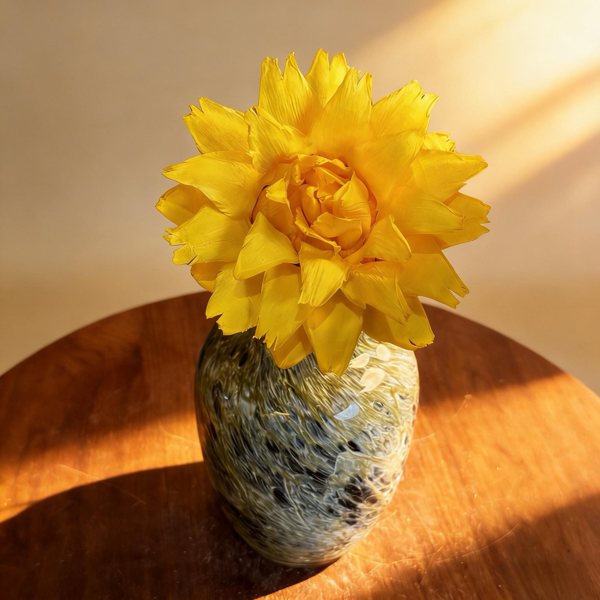 【浅黄色开花洋蓟】软装高级意境感干燥花永生花工艺创意摆件