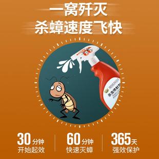 速杀蟑螂药杀虫剂除跳蚤药灭蚂蚁喷剂一全窝端家用驱虫神器非无毒