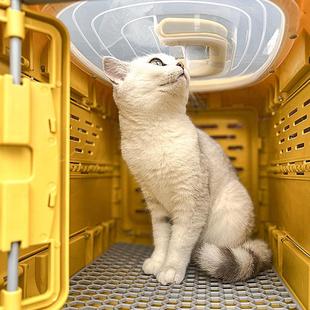 航空箱狗猫可折叠猫笼外出宠物携带箱猫咪外出包狗车载狗笼小型犬