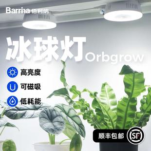 Barrina佰利纳全光谱植物补光灯块根绿植多肉室内仿太阳led生长灯