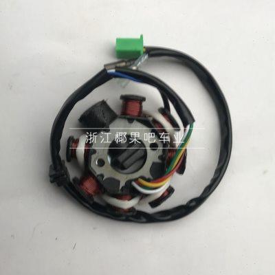 卡丁摩托车配件 GY6沙滩车150-200CC发动机点火8极线圈磁电机磁钢