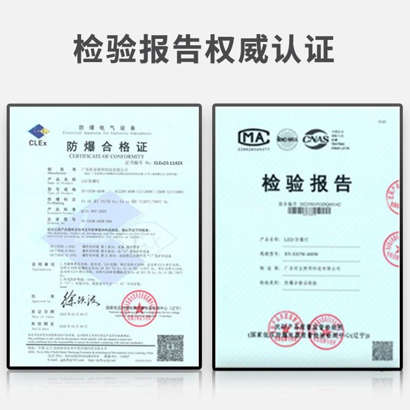 eYQ-FDYXd防爆工矿灯 加油l站化工钢铁厂圆照明防爆灯 形仓车间库