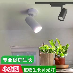 植物补光灯生长灯彷太阳光照全光谱绿植吸顶轨道射灯室内光合作用