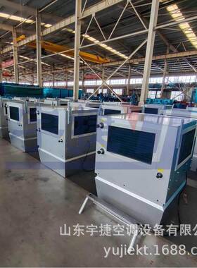 新风垂直送风冷暖机组体育馆会展中心采暖制冷空调吊顶式空调机组