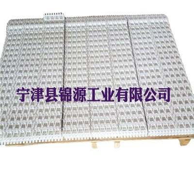 加强片opb链板玻璃器皿清洗线不锈钢链条传R动塑料网带输送带