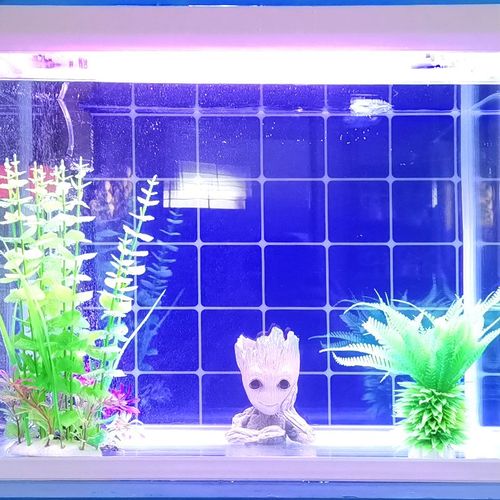 马赛克正面带胶蓝色玻璃鱼缸贴不干胶黑色鱼缸P背景贴白色格子贴