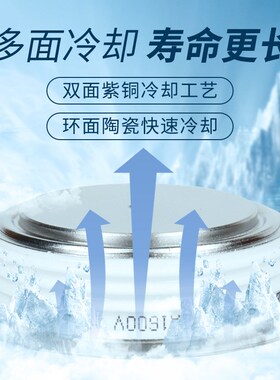 平板式整流管二极管ZP300A500A8A00A1000A大功率ZK1500A二极管