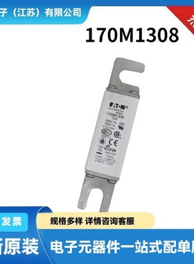 170M6947 170M6948 170M694E9 170M6950原装陶瓷熔断器 保险丝