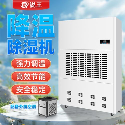 调温降温除湿机温室大棚实验室地下室可移动工程工业用除湿设备