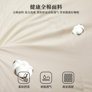 宿舍家用成人 全棉蚕丝枕头枕芯护颈椎助睡眠枕头芯酒店一对装