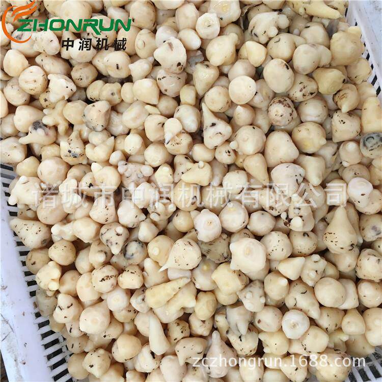1 27200 中草药全自动药机 高温高压药材蒸蒸锅卧式蒸型药锅