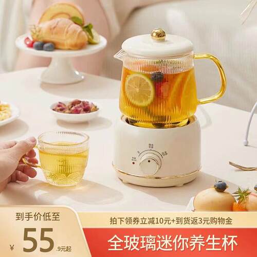 养生杯烧水壶mini小型迷你养生壶小型办公室玻璃一人电炖杯煮茶壶