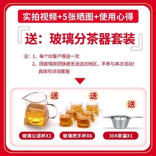 电茶炉 全玻璃茶壶泡茶家用烧水壶专用煮茶器功夫茶具小茶台套装