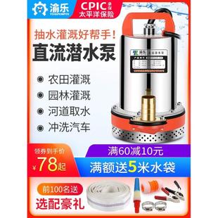 12V直流潜水泵24V48V60V伏家用电瓶车小型水泵电动车抽水机高扬程