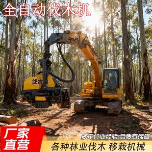 桉树全自动伐木机挖掘机割木机大型森林林场砍树设备出口