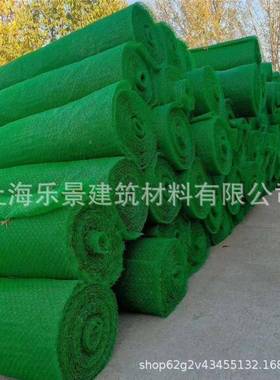 河道理护坡公路坡面喷播植草三维化植被网园林75663绿草籽护保网