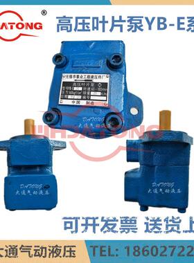 无锡市泰业高压叶片Y-E100/16/25/32泵/4/50/63/80/SFE100/125/16