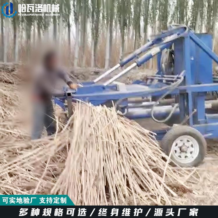 草方格用芦苇打包机 出包快治沙草压包机 防沙草卧式压块机视频