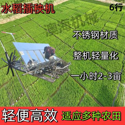 轻型取样栽秧机步进式水