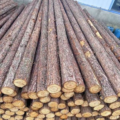 带皮杉木桩原木条树杆圆木围栏景观装饰婚庆拱门露营桩木头架子