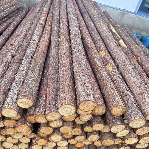 带皮杉木桩原木条树杆圆木围栏景观装饰婚庆拱门露营桩木头架子