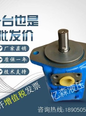 广东广液双联叶片泵YB-E200/125 YB-E80/40 YIB-E125/25 YB-E63/3