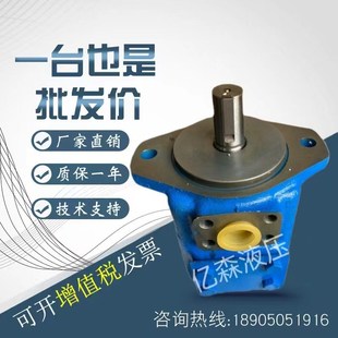 YIB 125 E63 E125 E80 E200 广东广液双联叶片泵YB