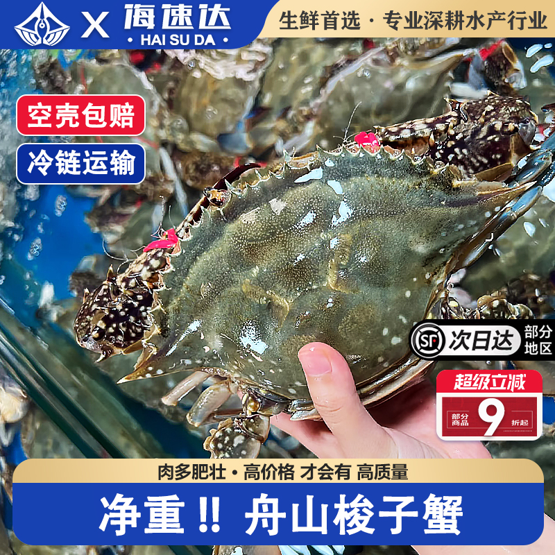 海速达舟山梭子蟹鲜活冷冻新鲜大螃蟹海鲜水产红膏蟹飞白蟹三眼蟹