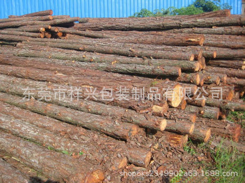 东莞场地松木桩4-6米批量出售