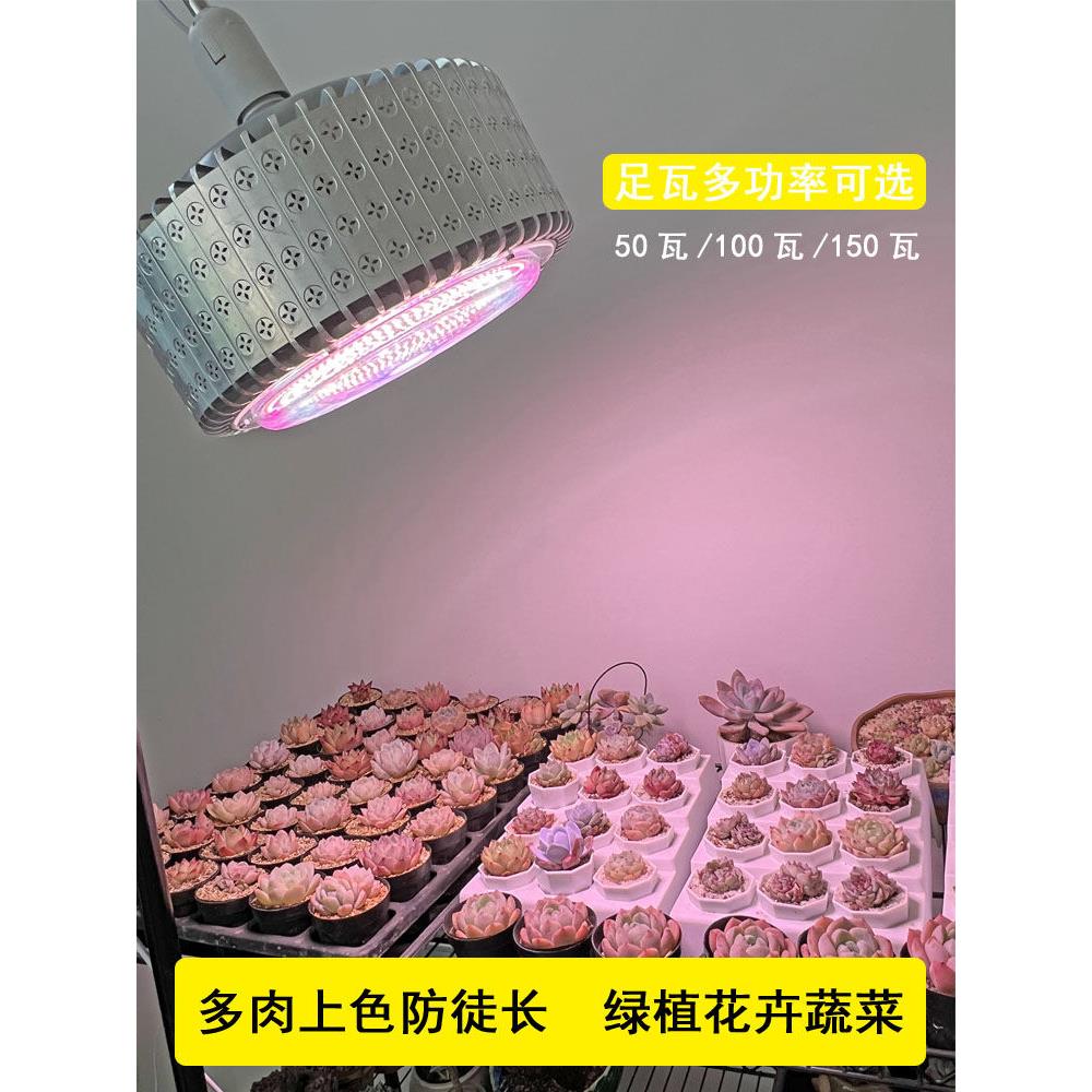 正阳筒灯多肉补光灯 家用上色防徒室内花卉 绿植生长灯大棚全光谱