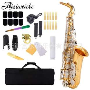 saxophone降E调中音萨克斯 跨境货源代发Alto 镍键金身萨克斯乐器