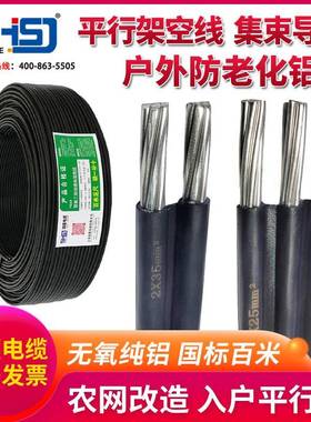 户外铝线国标电线家用2/3芯6 10 16 25平方电缆架空平行集束导线
