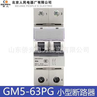 北京人民电器GM5-63PG/2 63A 500V光伏直流隔离开关 DC-22