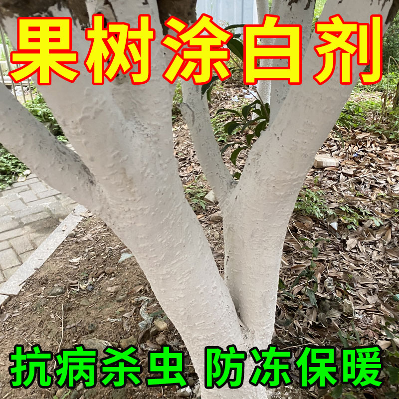 涂白剂树木树干刷白刷树粉果树树干防虫过冬杀菌消毒生石灰粉树木