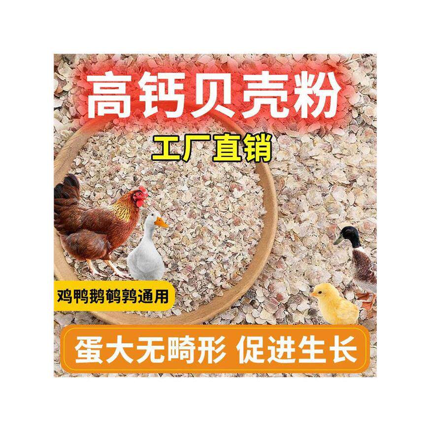 贝壳粉饲料补钙兽用鸡鸭
