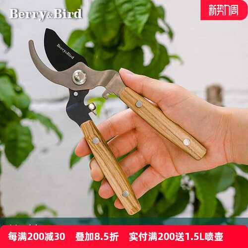 Berry&Bird园艺修枝剪家用花卉盆景造型粗枝专用剪刀省力园林果树