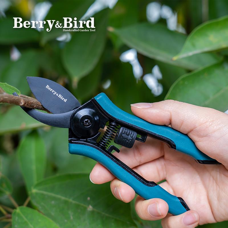 BerryBird花艺剪刀不锈钢花园盆景专用工具园艺弯尖头修花枝绿篱