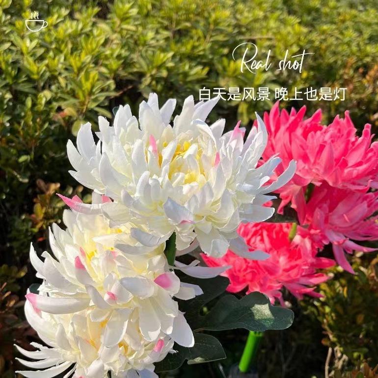 阳能花le太d仿灯真菊RH-542花户外防雨地花插草坪灯庭院景观装饰